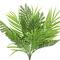Green Palm Fern Bush by Ashland&#xAE;